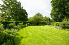 Load image into Gallery viewer, Goulding No2 Lawn Seed 10Kg
