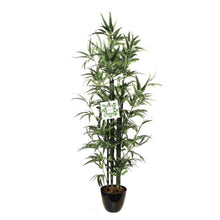 Load image into Gallery viewer, Nearly Natural Bamboo Tree 5 ft (sold in packs of 2 pcs)
