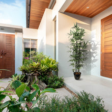 Load image into Gallery viewer, Nearly Natural Bamboo Tree 5 ft (sold in packs of 2 pcs)

