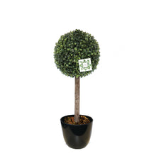 Load image into Gallery viewer, Nearly Natural Boxwood 1 Ball Tree 2 ft (Carton of 3 Trees)
