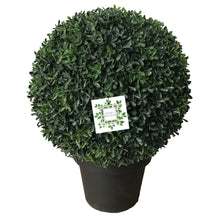 Load image into Gallery viewer, Nearly Natural Tea Leaf potted topiary (only sold in carton of 2 plants)
